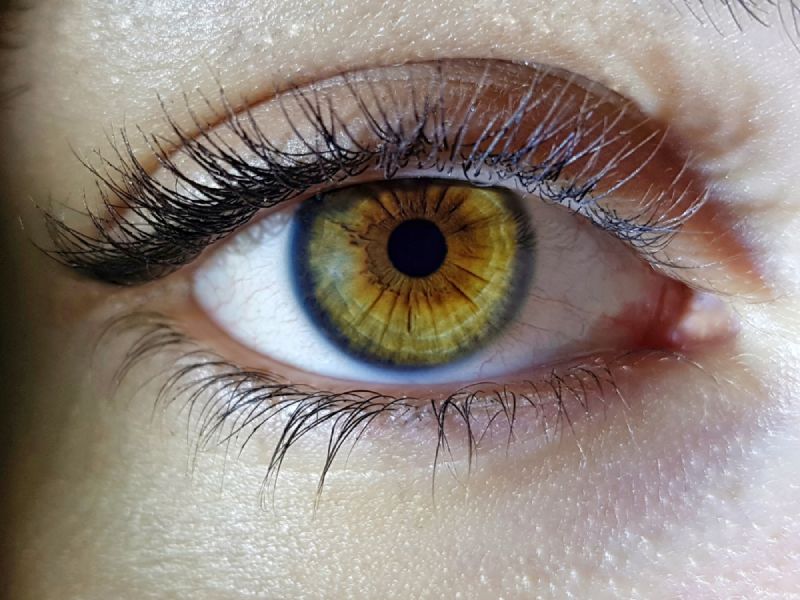 eye