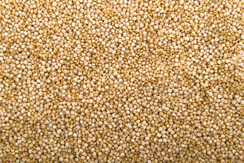 quinoa